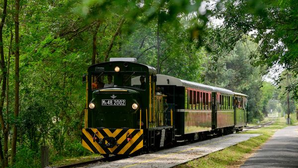 Újra közlekedik a debreceni Zsuzsi vonat