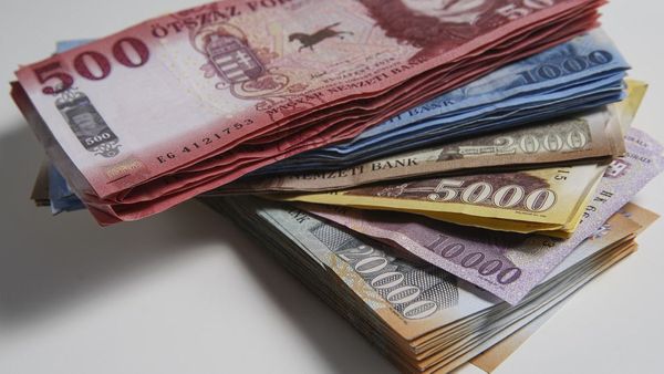 Több száz milliós csalás miatt emelt vádat a bajai ügyészség